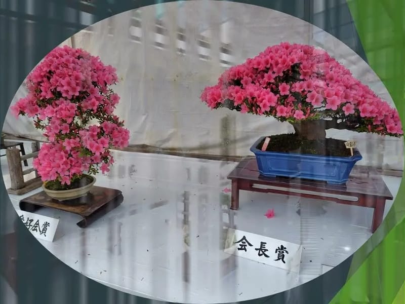 さつき園 - 特別養護老人ホーム in 岡山市中区, 岡山県 photo 1