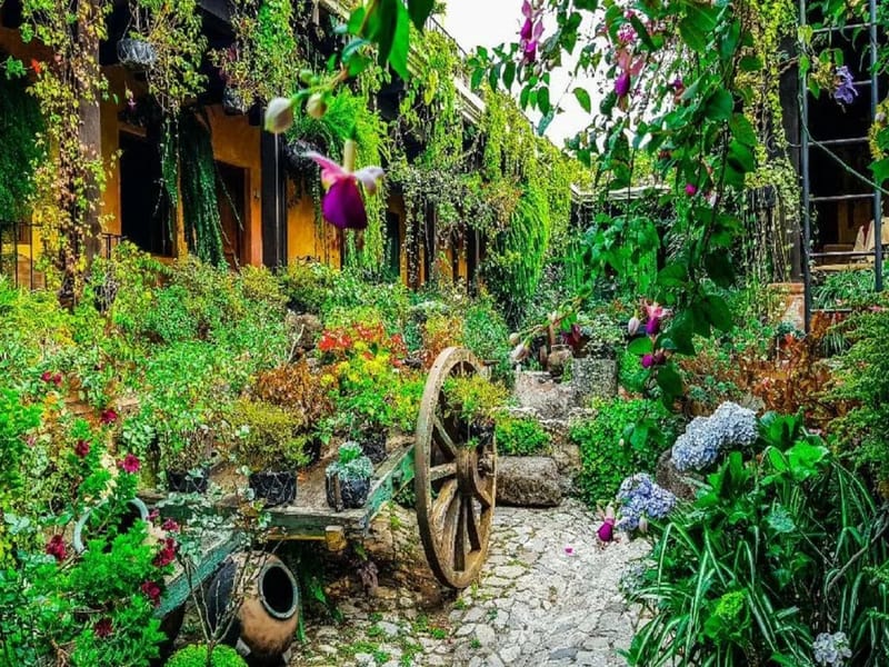 Hogar Eterna Primavera - Hogar de Ancianos in Viña Del Mar, Región de Valparaíso photo 3