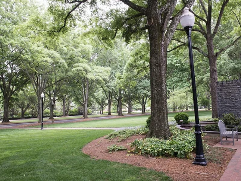Arboretum At The Woodlands At Furman - Assisted Living in Greenville, SC photo 1