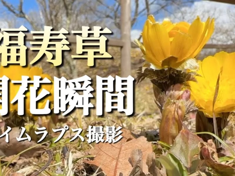 ほっとin福寿草 - 有料老人ホーム in 山形市, 山形県 photo 3