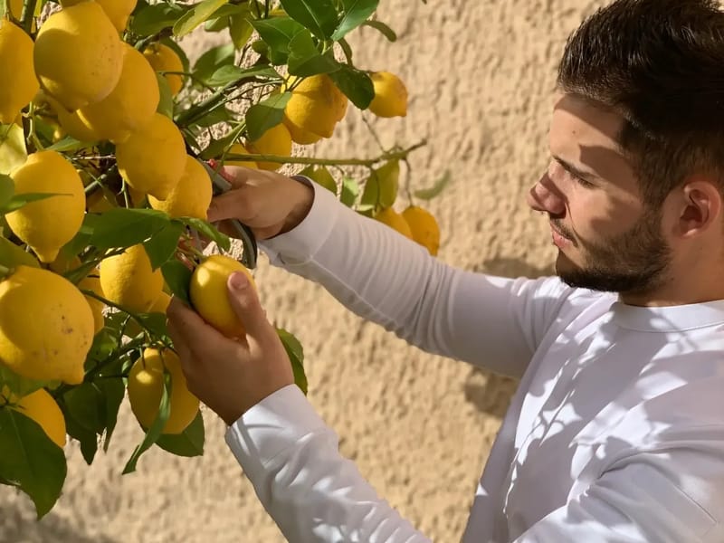 LA QUINTA - Hogar de Ancianos in ADROGUE, BUENOS AIRES photo 1