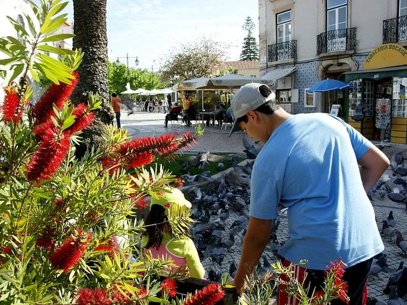 Centro de Dia LATI - Centro Comunitário do Bocage - Centro Dia in Setúbal, Setúbal photo 1