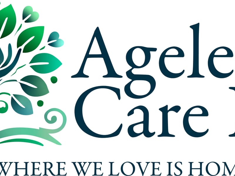 Ageless Home Health Care, INC. - Home Health Nursing in Wade, NC photo 1