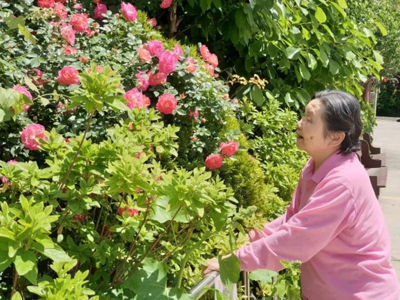 고양은혜마을 in 고양시, 경기도 photo 3