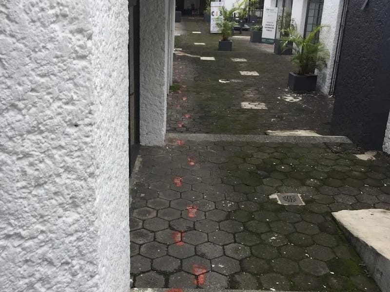 SUBDIRECCION DE ATENCION INTEGRAL AL ADULTO MAYOR - Vida Asistida in Xalapa, Veracruz photo 3