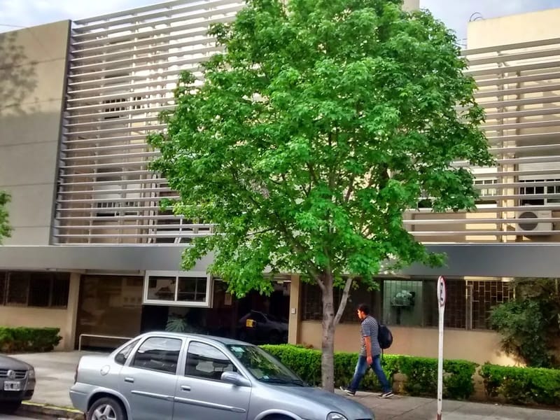 MACAMAX SA - Hogar de Ancianos in VILLA URQUIZA, CABA photo 2