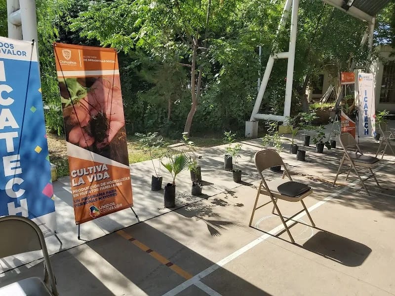 JARDIN DEL ABUELO - Hogar de Ancianos in Chihuahua, Chihuahua photo 7