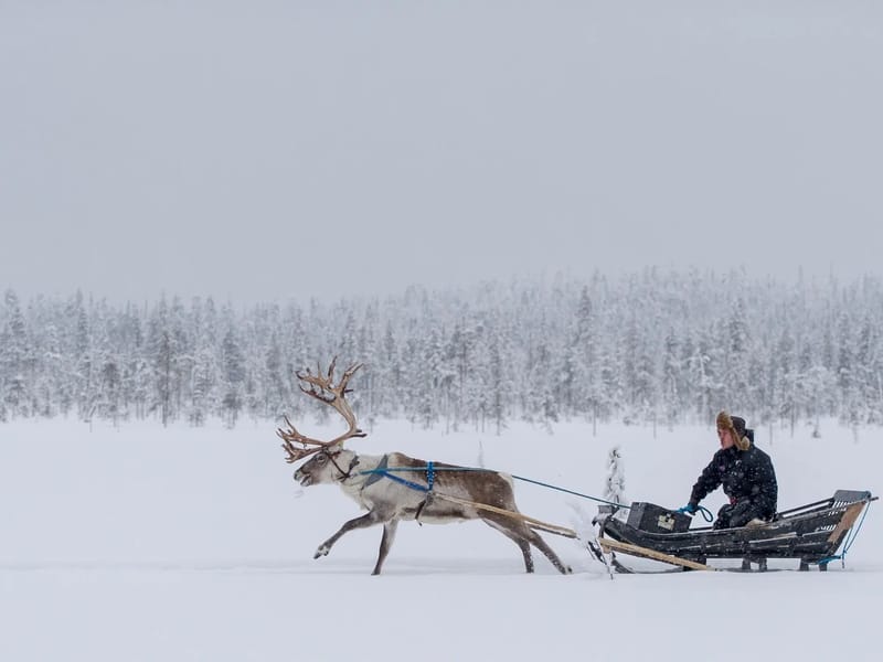 Salla - Serviceboende in Sunne, Värmlands län photo 2