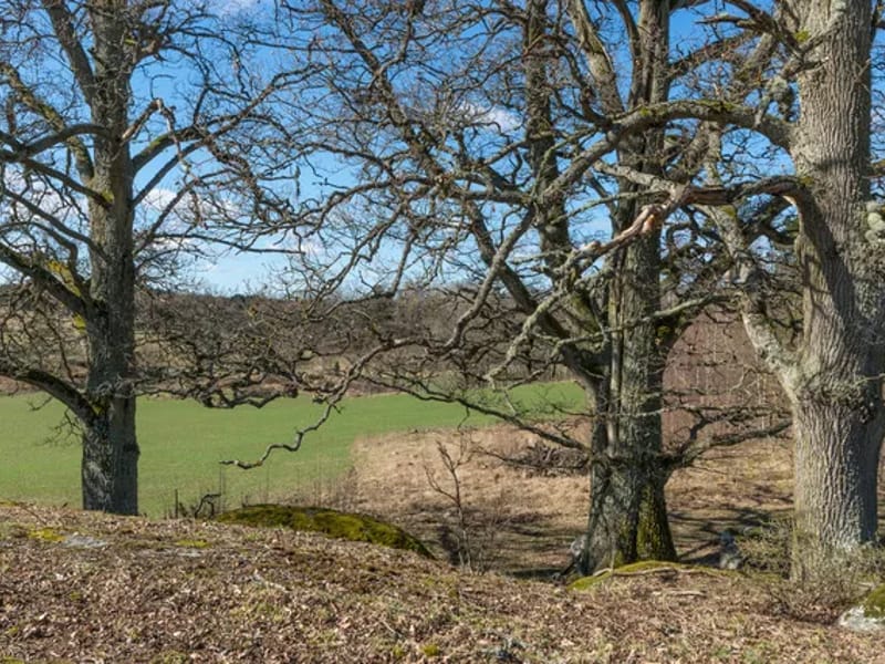 Ekbacken - Äldreboende in Olofström, Blekinge län photo 2