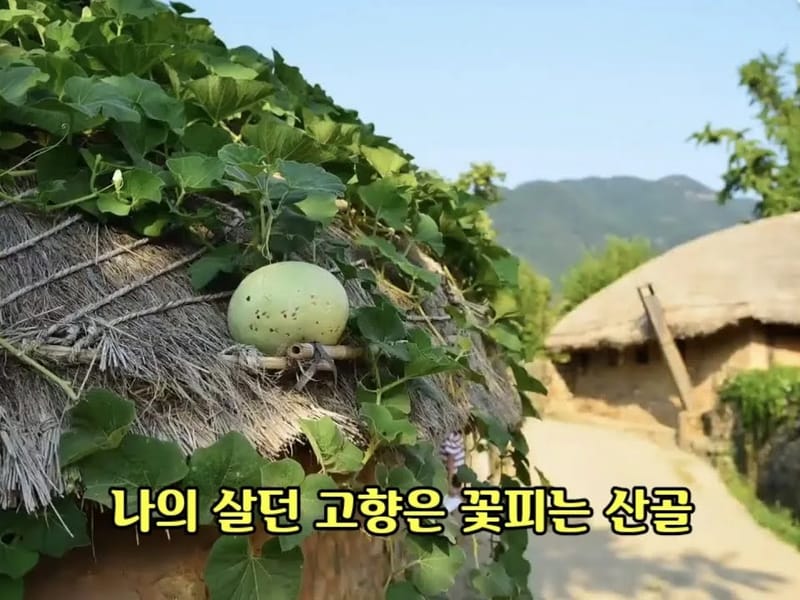 고향의집 in 해남군, 전라남도 photo 3