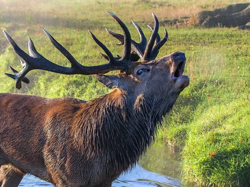 SELKIRK - Assisted Living in Red Deer, AB photo 2
