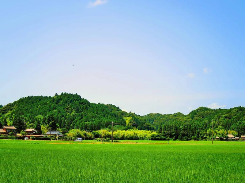 ひよりの里 - 有料老人ホーム in 千葉市若葉区, 千葉県 photo 2