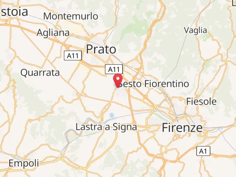 Centro Diurno Isola Tartarughe - Centro Diurno in Campi Bisenzio, Toscana photo 3