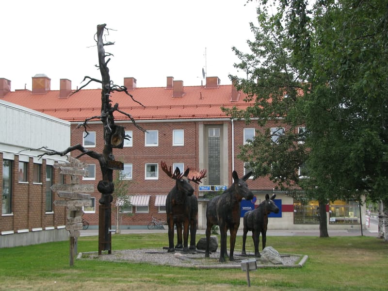 Länsmansgården - Äldreboende in Arvidsjaur, Norrbottens län photo 3