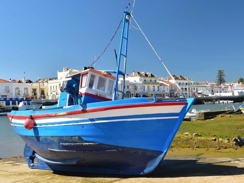 Mais Apoio - Cuidado Domiciliar in Tavira, Faro photo 1