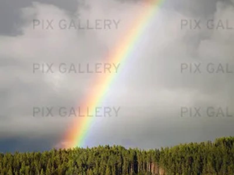 Regnbågen - Serviceboende in Kristinehamn, Värmlands län photo 2