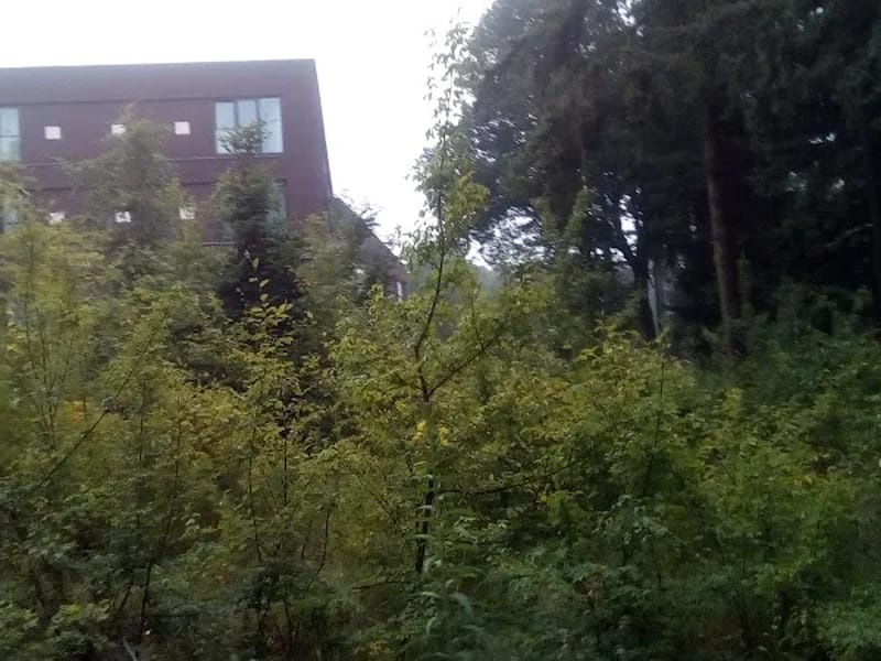 Herstelcentrum - Klinische Revalidatie in Groesbeek, Gelderland photo 7