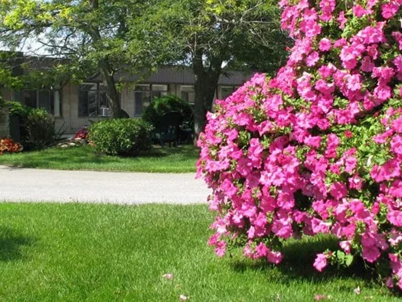 Elstree Home Care (Watford) - In-Home Care in Watford, England photo 1