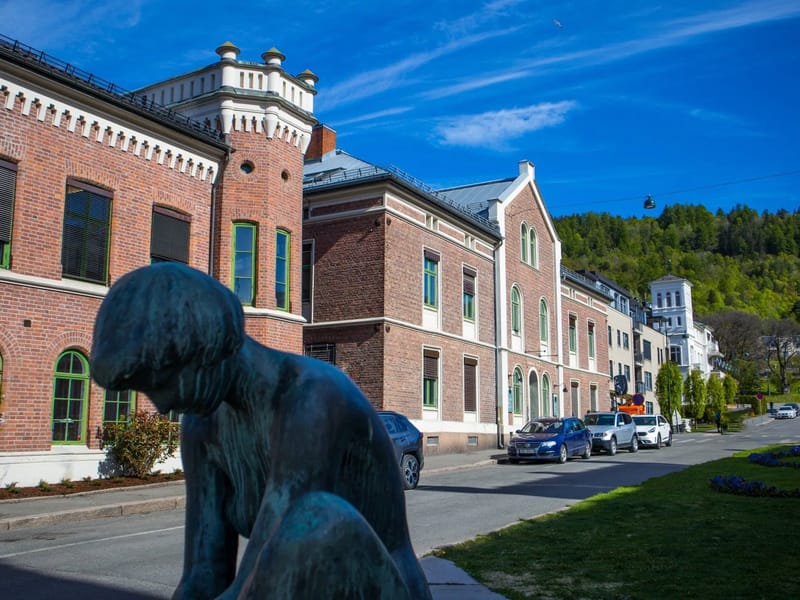 Tjenester til hjemmeboende sentrum - Hjemmetjenester in Drammen, Buskerud photo 1