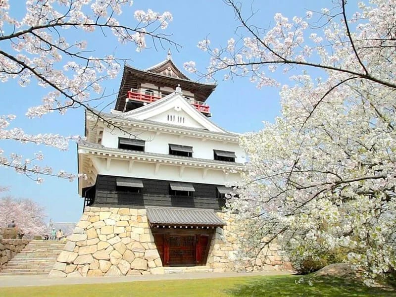 かわのえ - デイサービス in 四国中央市, 愛媛県 photo 1