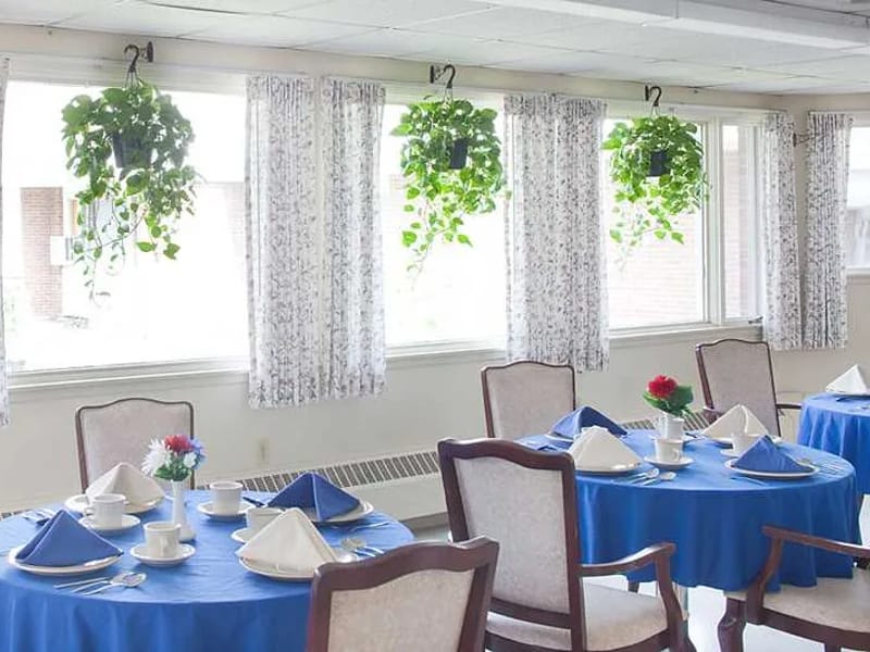 Dreamlight Healthcare - In-Home Care in St. Albans, England photo 2