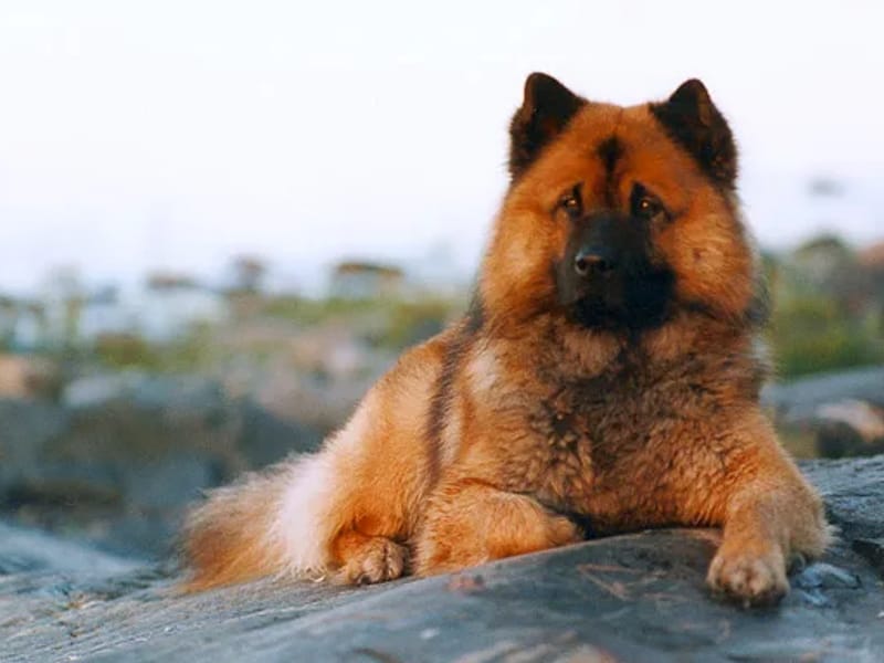 Balder - Äldreboende in Uppsala, Uppsala län photo 1