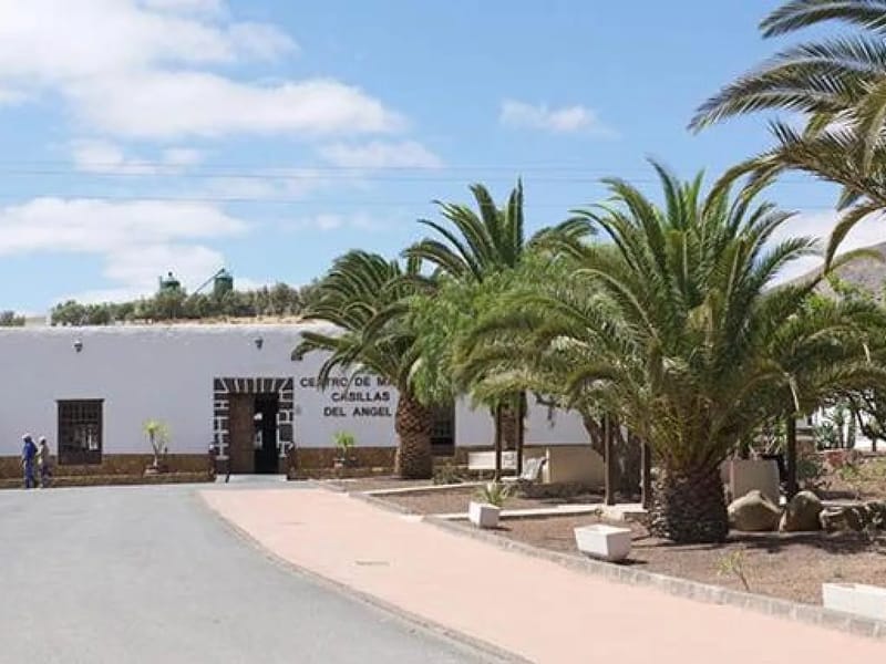 Centro Residencial Casillas del Ángel - Hogar de Ancianos in Puerto Del Rosario, Canarias photo 3