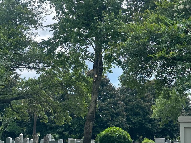 ALL THE TIME QUAILTY CARE - Home Health Nursing in Moncks Corner, SC photo 3