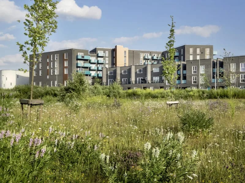 Talabs Group UK Ltd in Barking, England photo 3