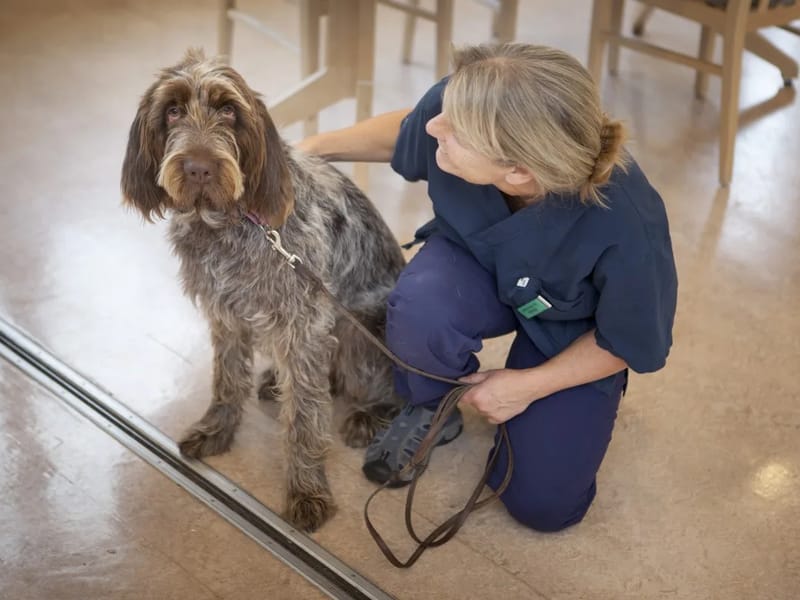 Nacka seniorcenter Talliden - Serviceboende in Nacka, Stockholms län photo 2