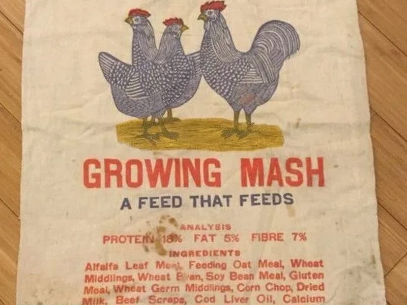 A CHANCE TO GROW, INC. - Home Health Nursing in Minneapolis, MN photo 2