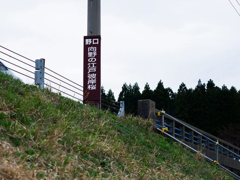 イエローガーデン城端 - 有料老人ホーム in 南砺市, 富山県 photo 2