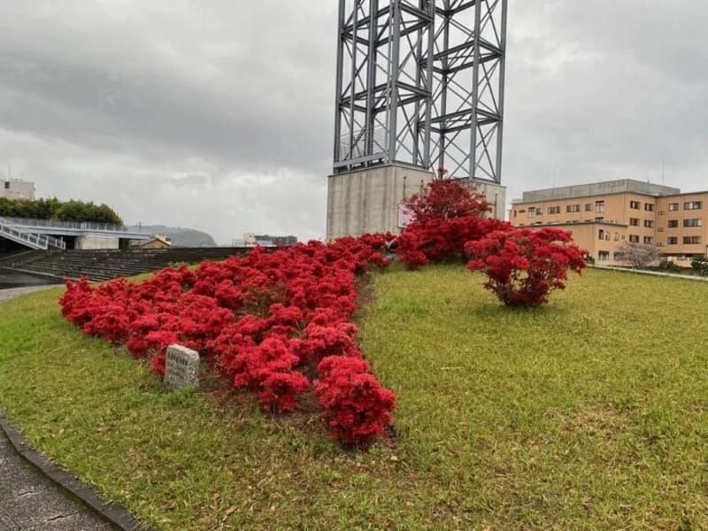グループホーム てんとうむし - 認知症ケア in 霧島市, 鹿児島県 photo 1