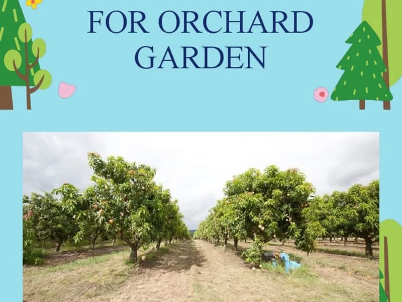 4 Pages Orchard - Assisted Living in Reading, England photo 1