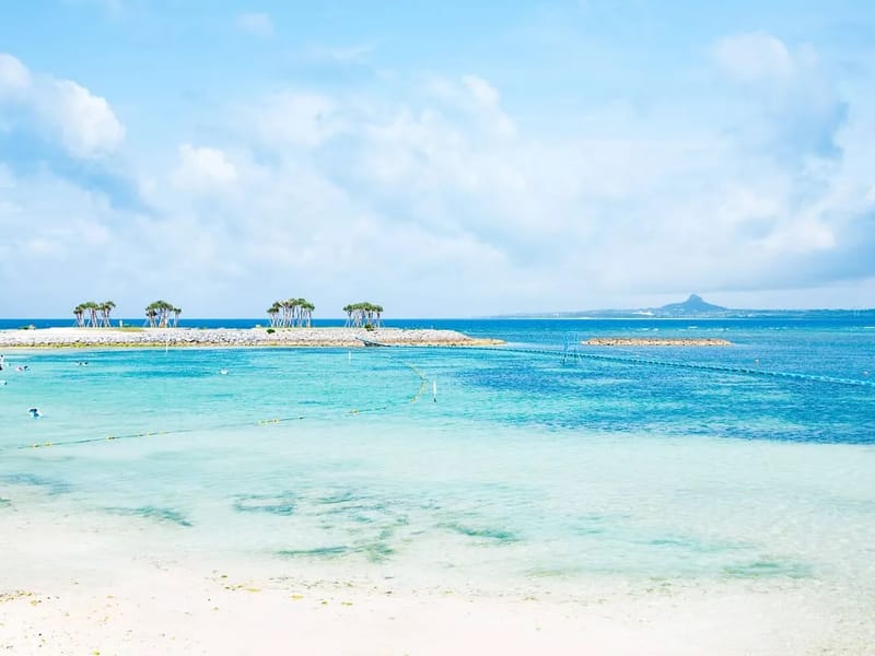 YADOLI訪問看護ステーション - 訪問看護 in 堺市堺区, 大阪府 photo 1