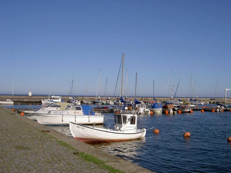 Färjestaden Väster - Dagverksamhet för vuxna in Mörbylånga, Kalmar län photo 1
