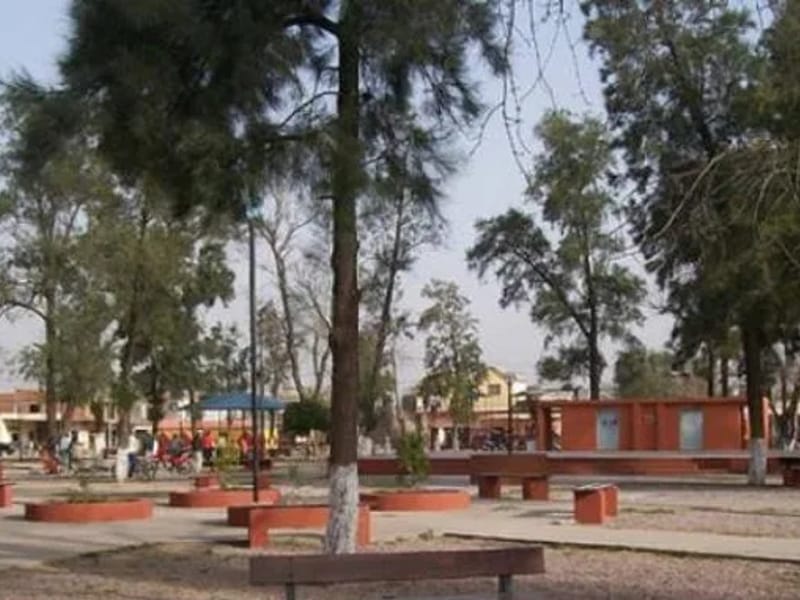 Nueva Esperanza - Vida Asistida in Valdivia, Región de Los Ríos photo 2