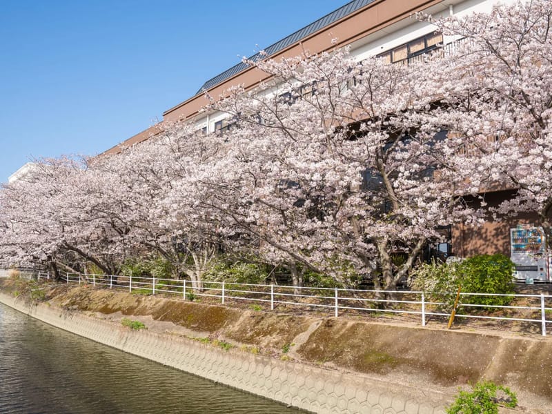 ふくじゅ　すえひろ - デイサービス in 一宮市, 愛知県 photo 3