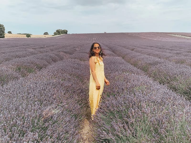 Lavender Fields - Care Home with Nursing - Nursing Home in Hitchin, England photo 5