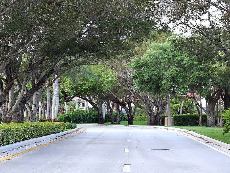 Community Behavioral Management,INC - Home Health Nursing in Pembroke Pines, FL photo 1