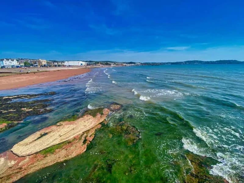 Cornerways - Assisted Living in Paignton, England photo 1