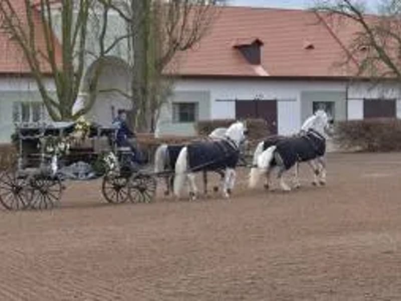 pečovatelská služba (2500401) - Pečovatelská služba in Pardubice, Pardubický kraj photo 3