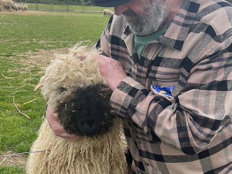 Stour Road Care Home - Nursing Home in Christchurch, England photo 4
