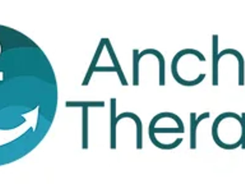 Anchor Therapy Services LLC - Home Health Nursing in Upper Marlboro, MD photo 2