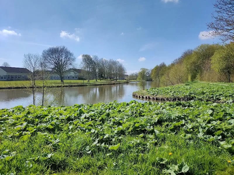 Ielânen - Begeleid Wonen in Sneek, Friesland photo 1