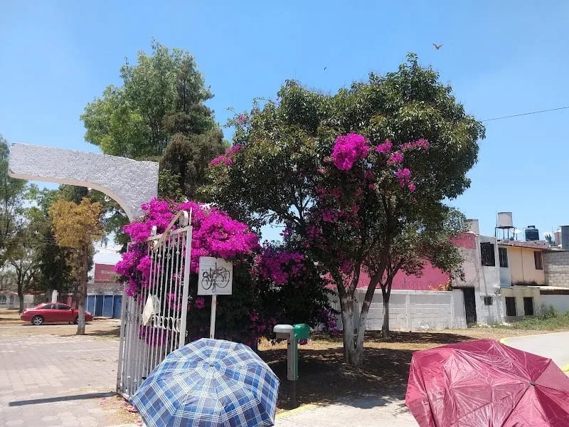Casa Del Adulto Mayor Cuautitlan - Vida Asistida in Cuautitlán, Estado de México photo 3