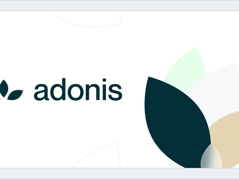 ADONIS HEALTHCARE,INC - Home Health Nursing in Dolton, IL photo 3