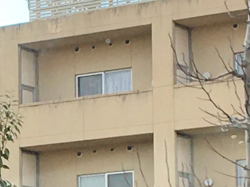 つくしんぼ藤阪 - デイサービス in 枚方市, 大阪府 photo 2