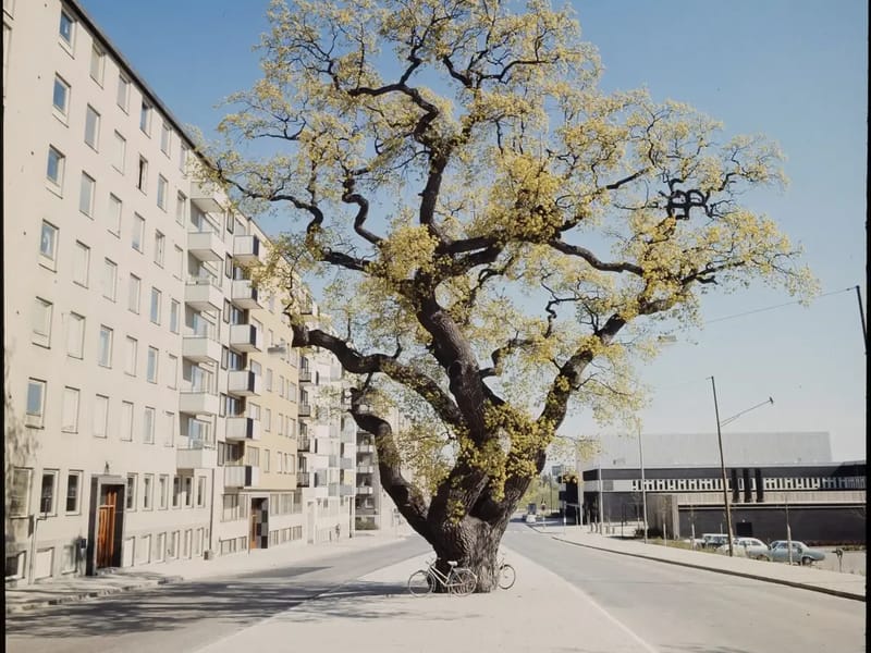 Säbo äldre, Eken - Serviceboende in Järfälla, Stockholms län photo 2