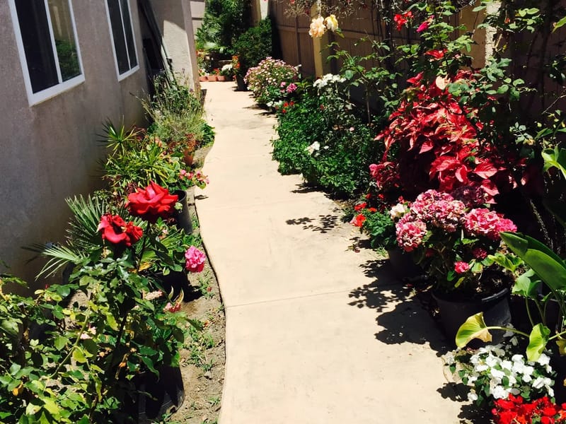 Aury'S Home Care - Assisted Living in Chula Vista, CA photo 2
